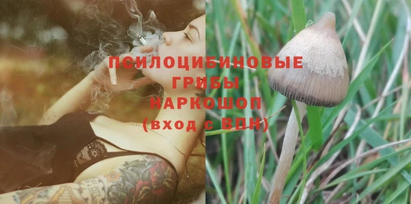 PSILOCYBIN Алексин